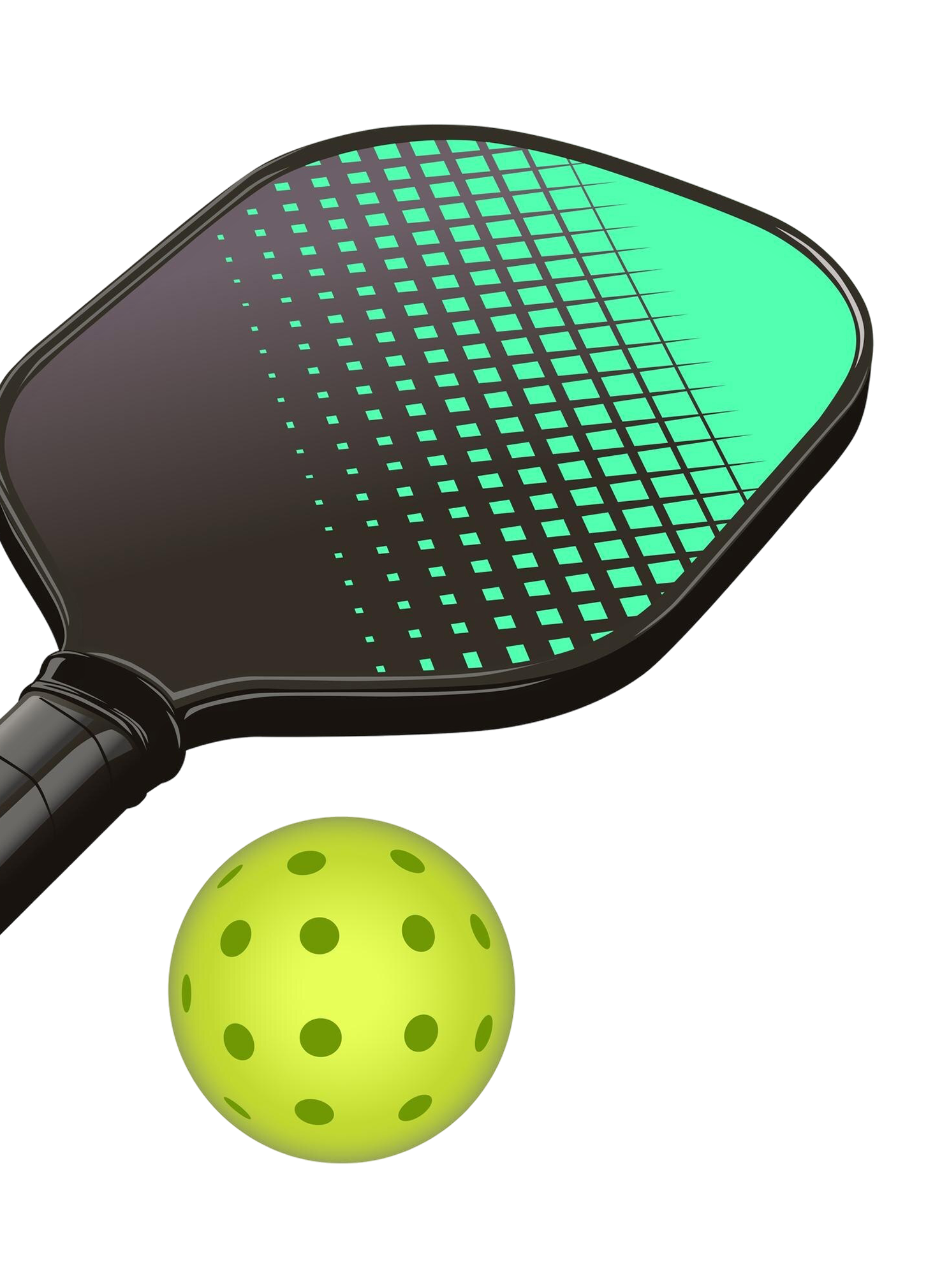 Pickleball paddle